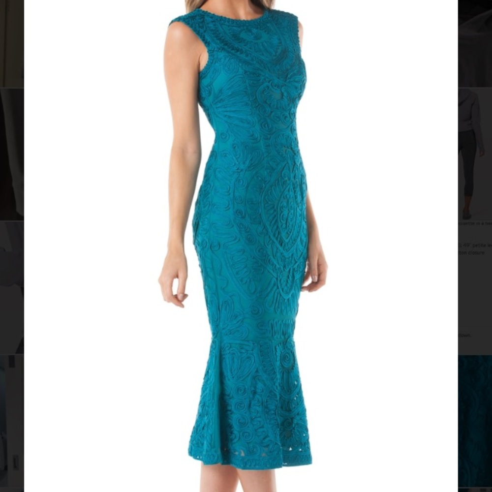 NWOT JS Collections Soutache Mesh Dress